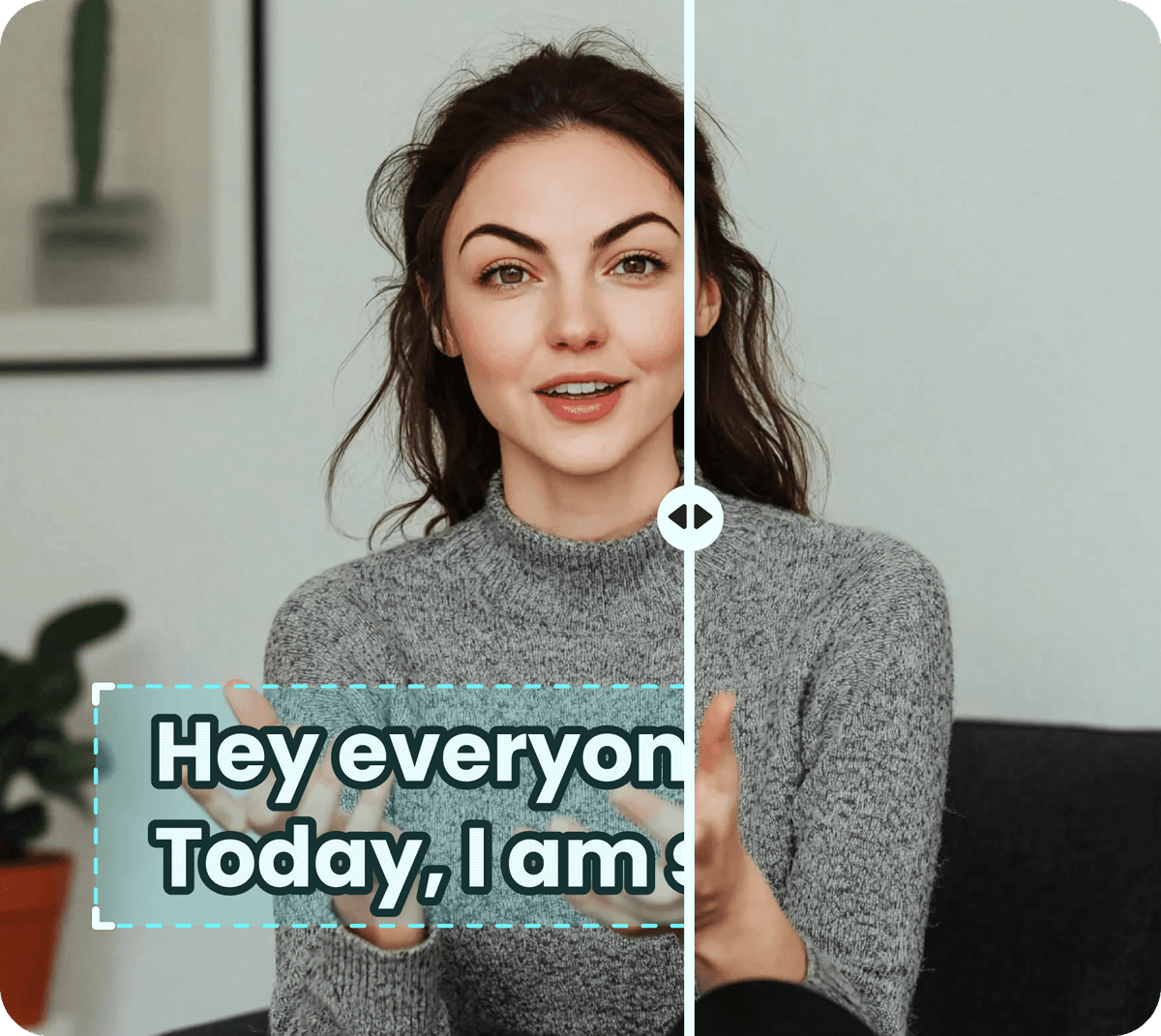 Video Subtitle Remover