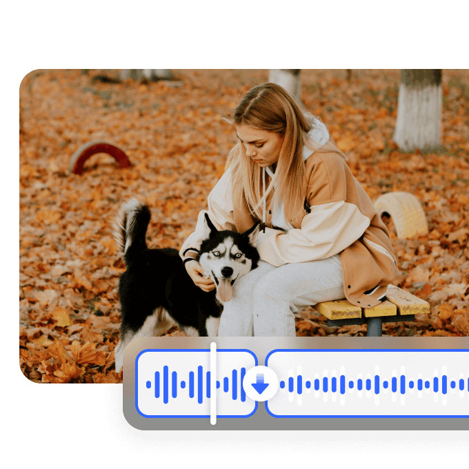 Precise Noise Eradication