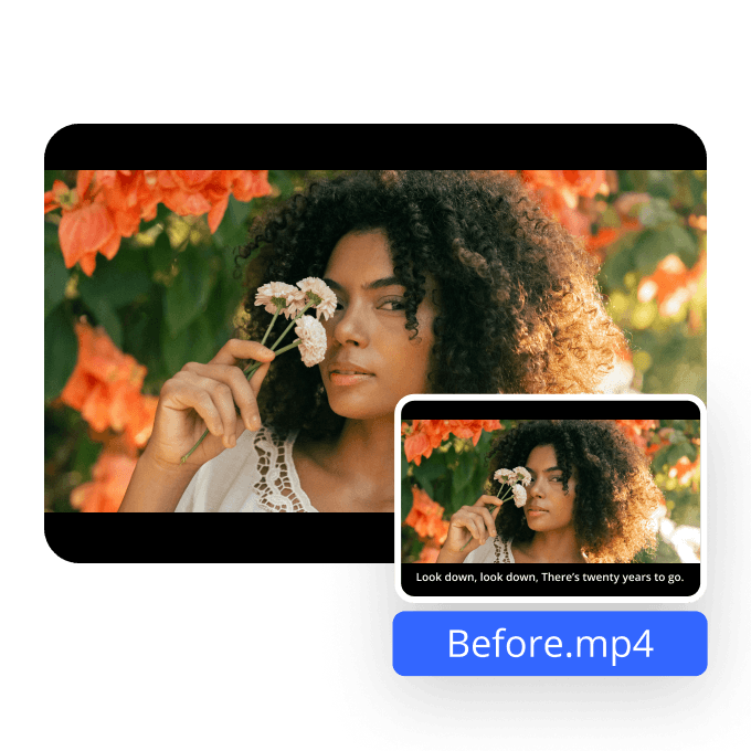 AI-Powered Subtitle Removal