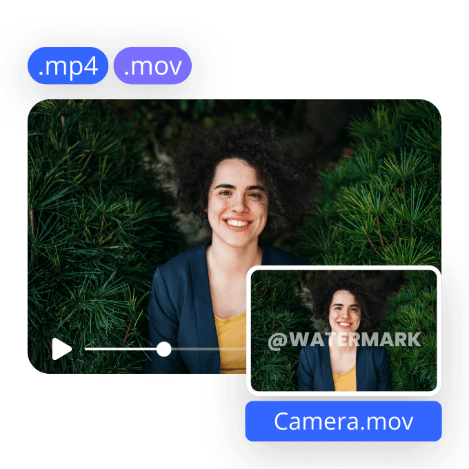 Instantly Remove TikTok Watermarks