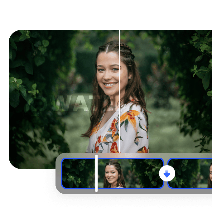 Supports All Video Formats