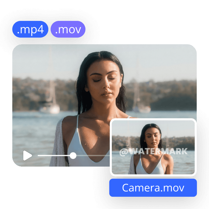 Instant Watermark Removal