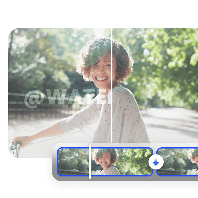 Supports Multiple Video Formats