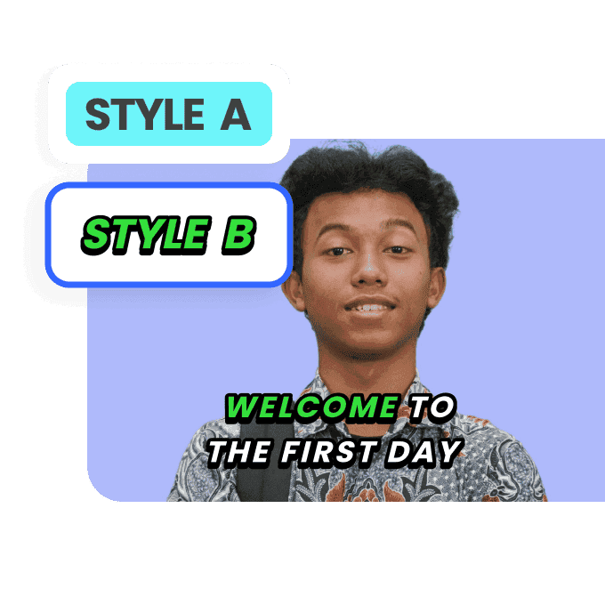 Customizable Subtitle Styles