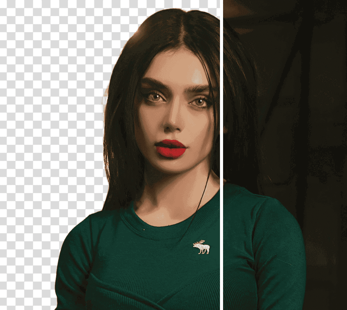 Effortless Video Background Removal​