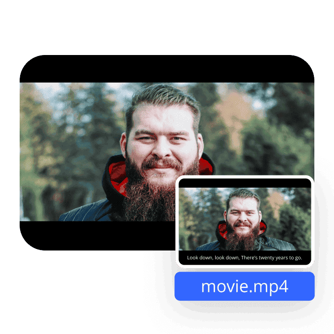Remove Subtitle Lines Instantly