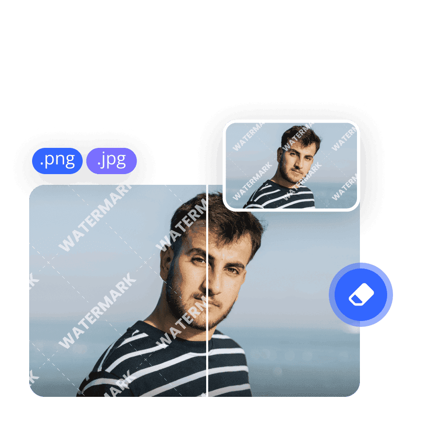 Works with Multiple Formats