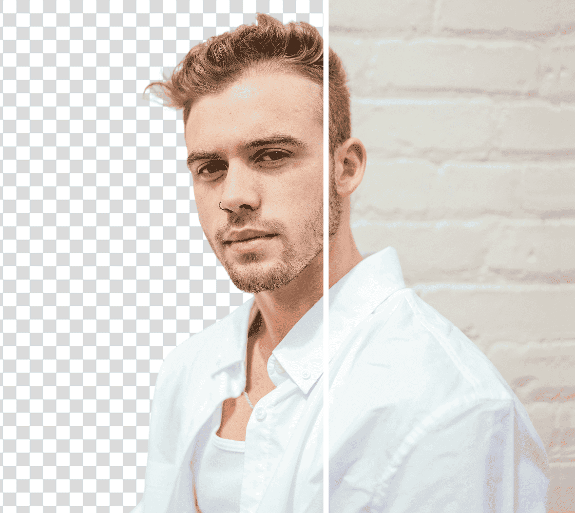 Professional Video Call Background Eraser