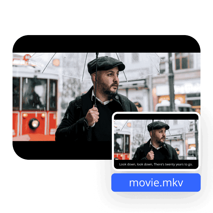 Clean Subtitles Off MKV Instantly