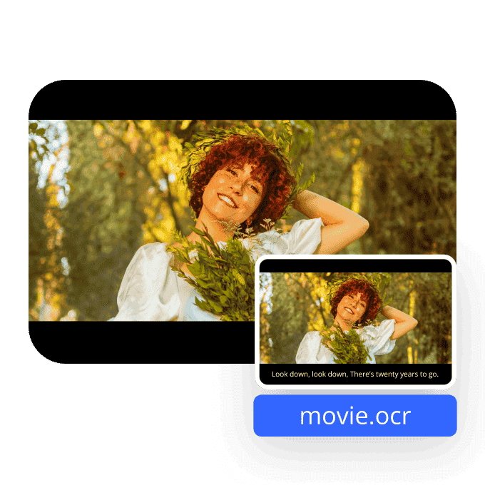 Erase Subtitles with OCR Precision