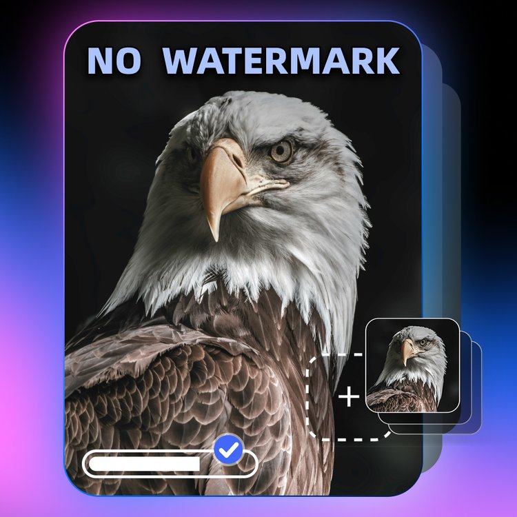 Effortless HD Conversion Without Limits