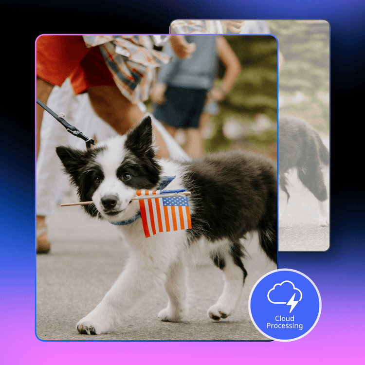 Simple, Secure, and Free Video Tools