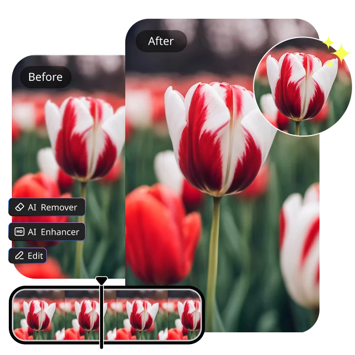 Quality-Focused Output