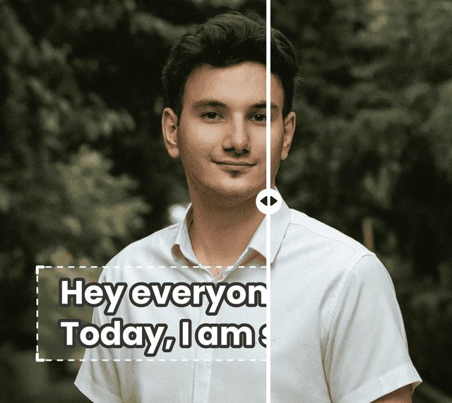 Remove Distractions From Photos Online Vmake AI Remove distractions from photos online vmake ai